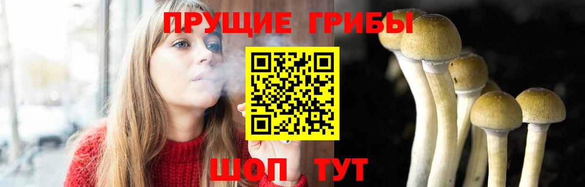 Галлюциногенные грибы Magic Shrooms  Вход с VPN  продажа наркотиков  Галлюциногенные грибы Psilocybine cubensis  Ялуторовск 